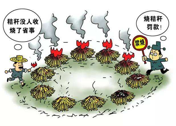 生物质颗；