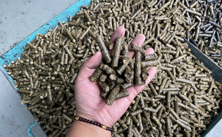 生物质燃料颗；目帕Ｈ剂