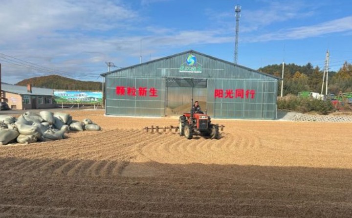 黑龙江鹤立林业局：生物质颗粒工业点燃绿色生长新引擎
