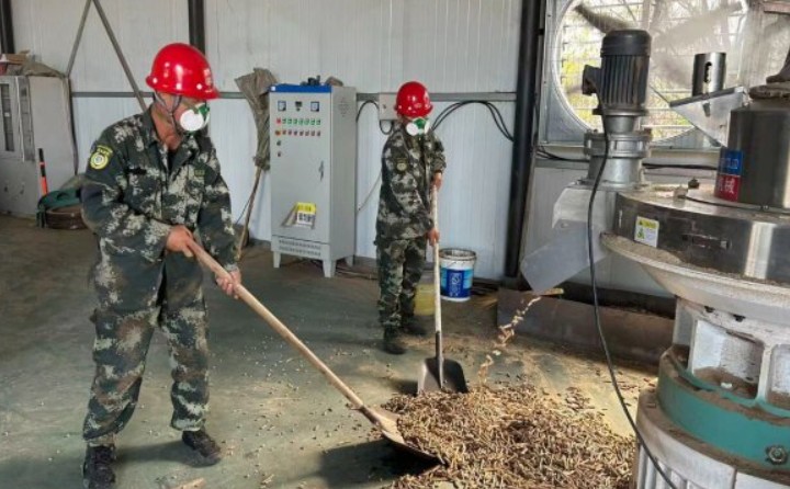 黑龙江鹤立林业局：生物质颗粒工业点燃绿色生长新引擎