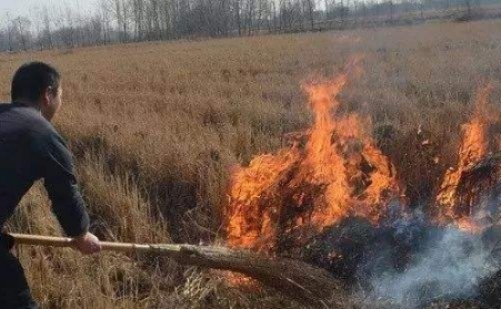 小小秸秆危害大 ，综合使用废变宝！