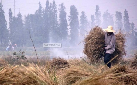 湖北鼎力大举推进秸秆综合使用